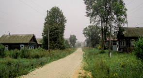 Пасмурное утро в деревне Надеждино, Селивановский район