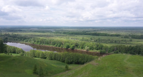 Лысая гора и ее окрестности, Г. Гороховец