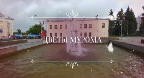 Цветы Мурома