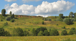 Окрестности деревни Малый Санчур, Меленковский р-н