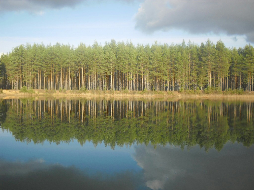 Отражение в озере. Судогодский район.