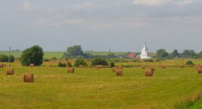 Село Кистыш, Васильевская церковь (1793), Суздальский р-н