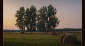 Такой жаркий, тихий, спокойный конец августа (Вязниковский р-он, д.Копцево)