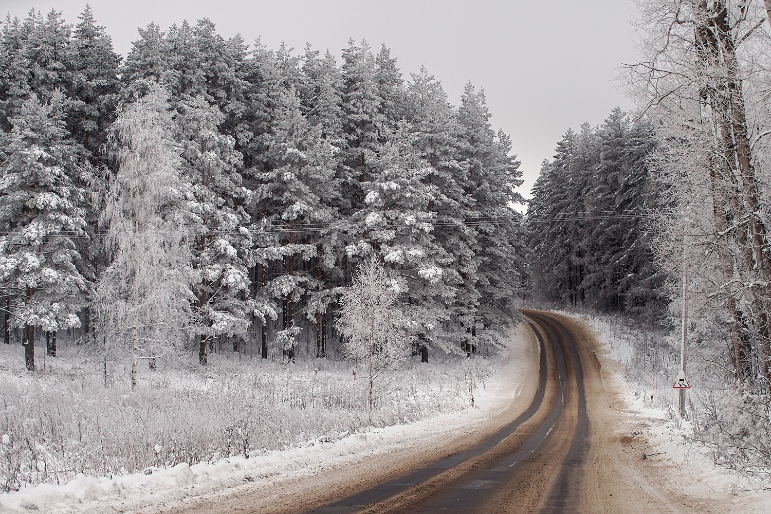Зимняя дорога песни. Зима дорога. Зимняя дорога Подмосковье. Лесная дорога зимой. Зимняя дорога в лесу.