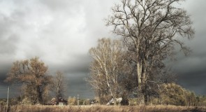 Село Заястребье, Судогодский р-н