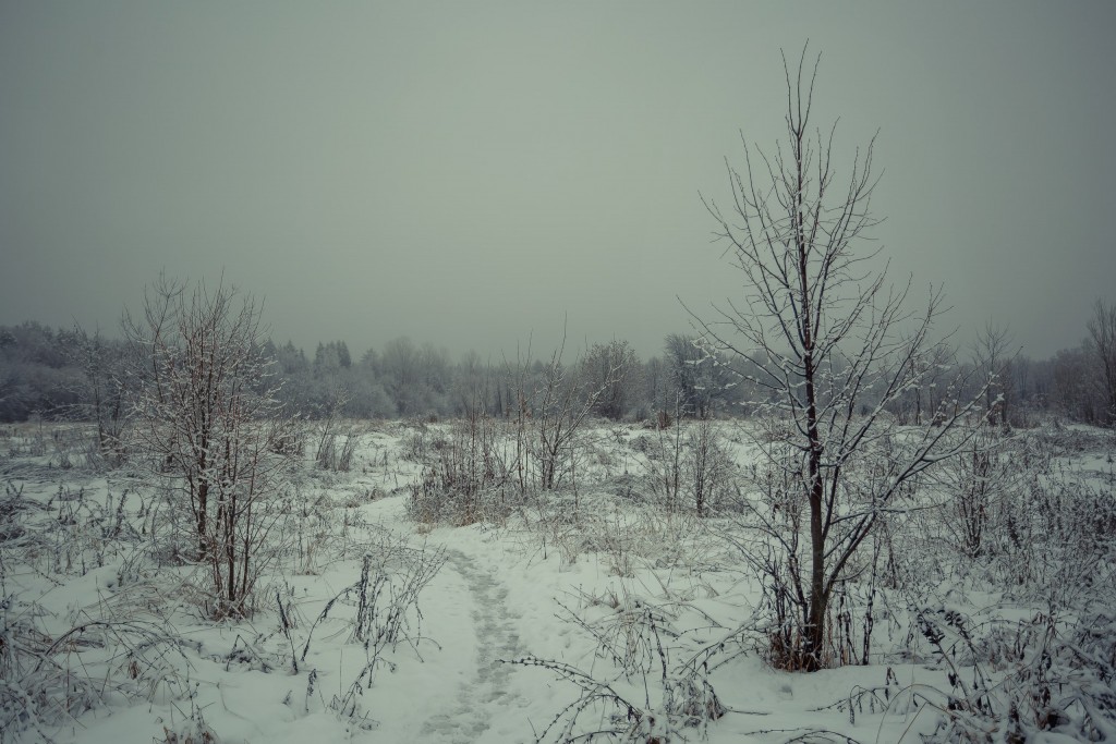 Зима в парке, Муром 02