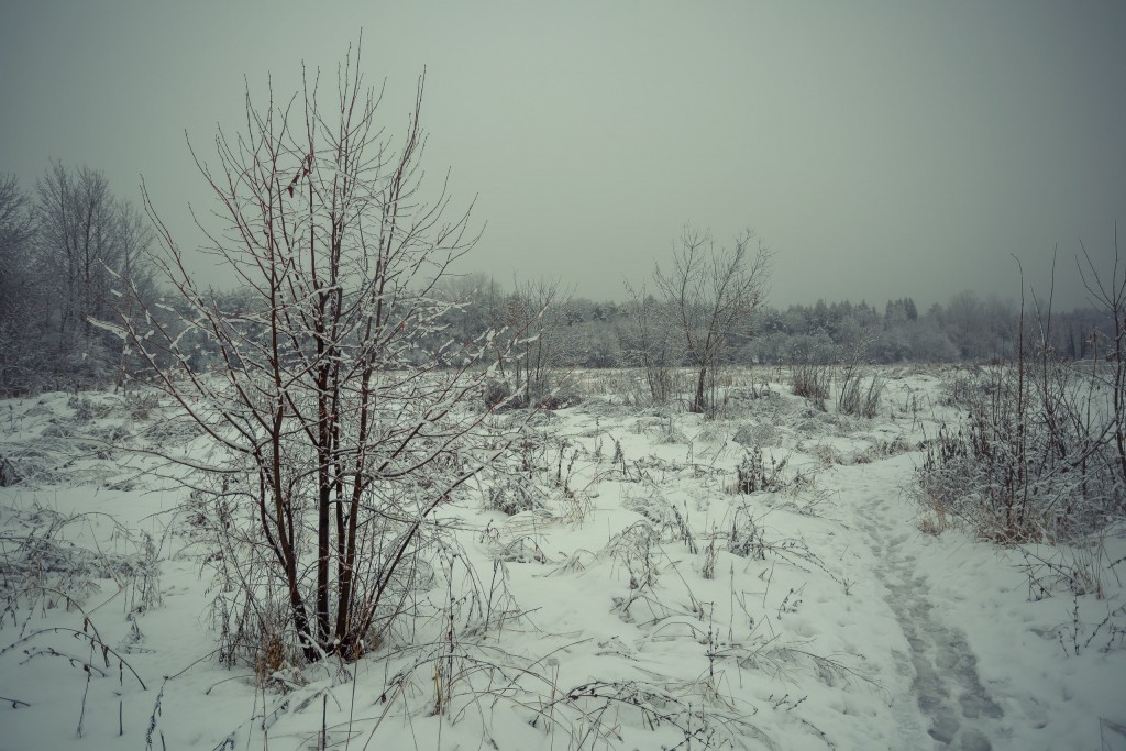 Зима в парке, Муром 03