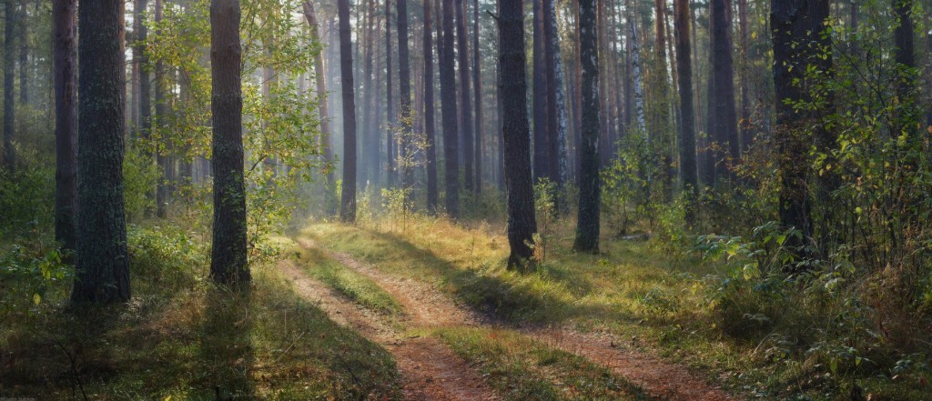 Осень в Вязниковском лесу 01