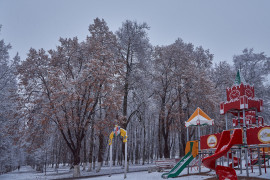 Первые дни зимы во Владимире