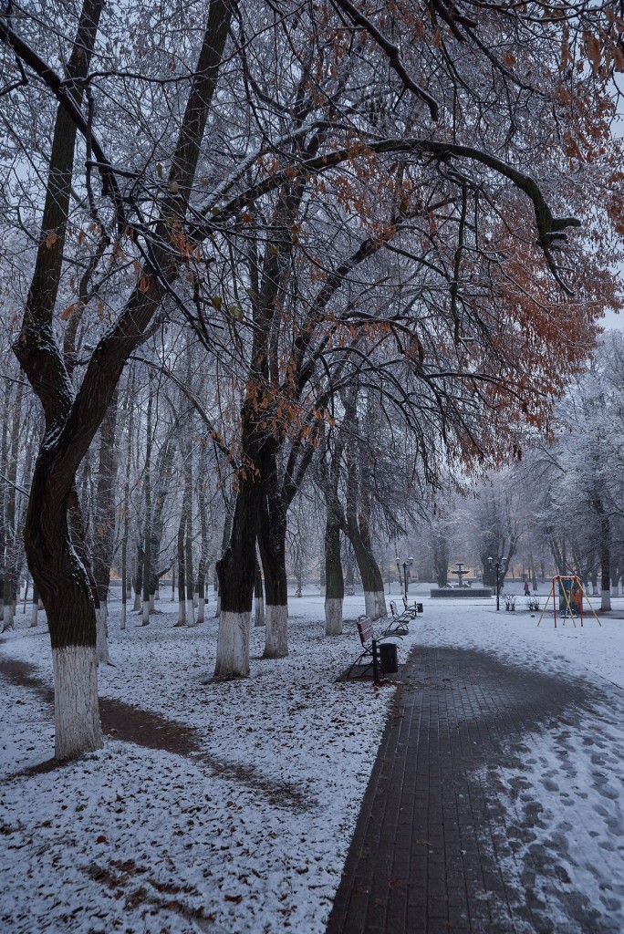 Первые дни зимы во Владимире 02