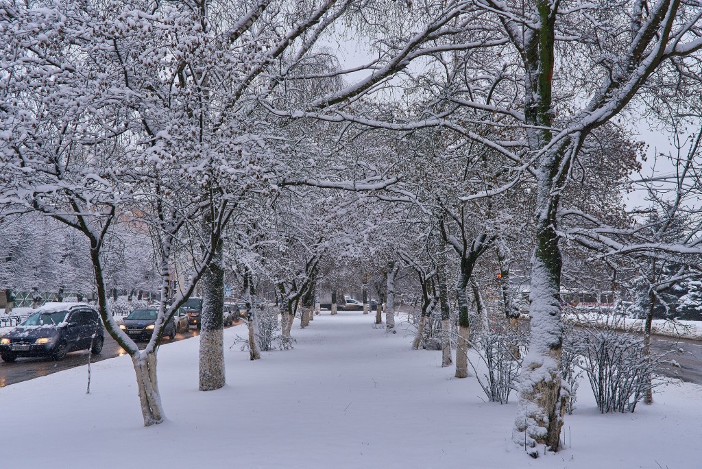 Первые дни зимы во Владимире 03