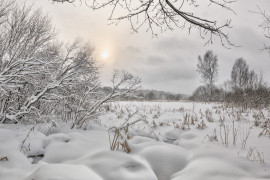 Снежное начало февраля в Александрове, 02.02.2018