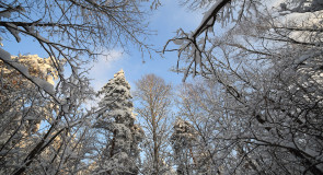 Февральская прогулка в парке Дружба