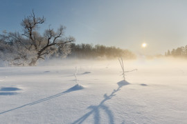 Февральское утро на реке Серой, Александров