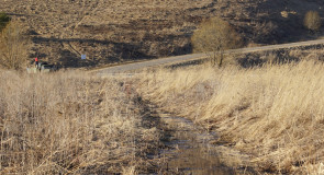 Село Горицы, Суздальский район