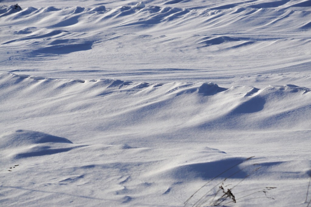 Снежные волны на Суздальских полях 03