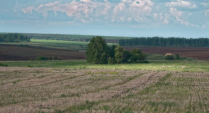 урочище Чурилово, Юрьев-Польский р-н