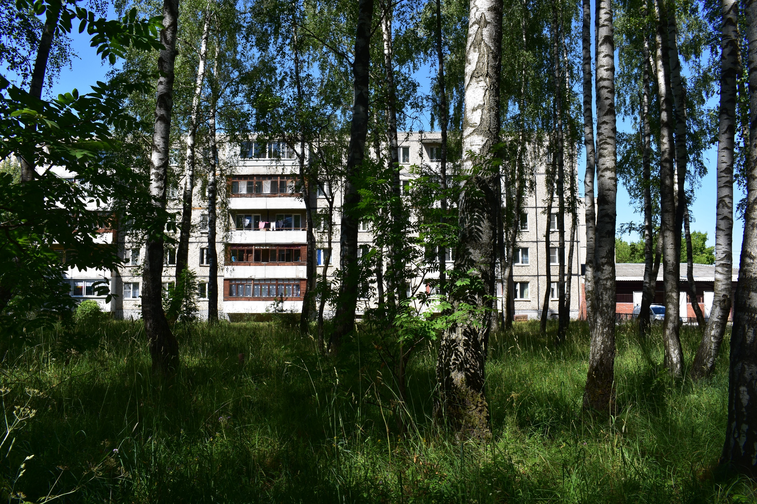 Поселок лесной телефон. Посёлок Лесной Владимирская область.