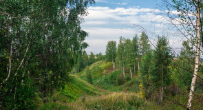 «Засентябрило». Овраг. (Вязниковский р-он).