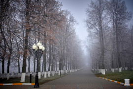 Начало ноября неожиданно порадовало…туманом… (2018, Владимир)