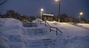 Владимир, январь 2019, Загородный парк.