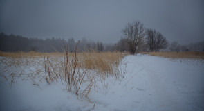 Настроение. Тропинка в городском парке туманным утром. Муром, февраль 2019.