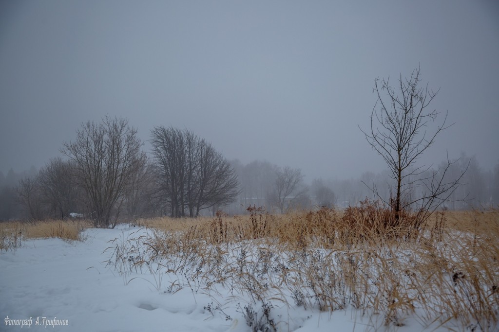Тропинка в городском парке туманным утром. Муром, февраль 2019 03