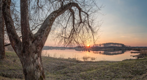 Дичковское озеро, Александров