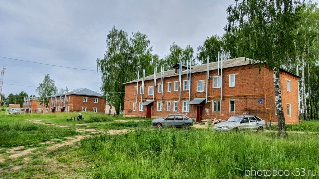 39 Двухэтажные кирпичные дома в деревне Тургенево Меленковского района