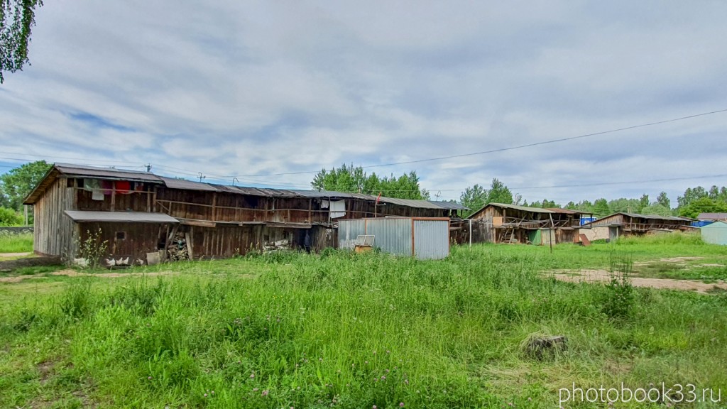 40 Сельское хозяство в деревне Тургенево