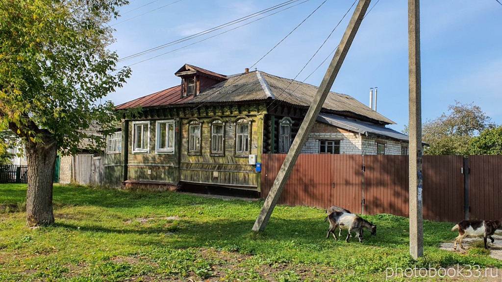 32 Козы в деревне Орлово, Муромский район
