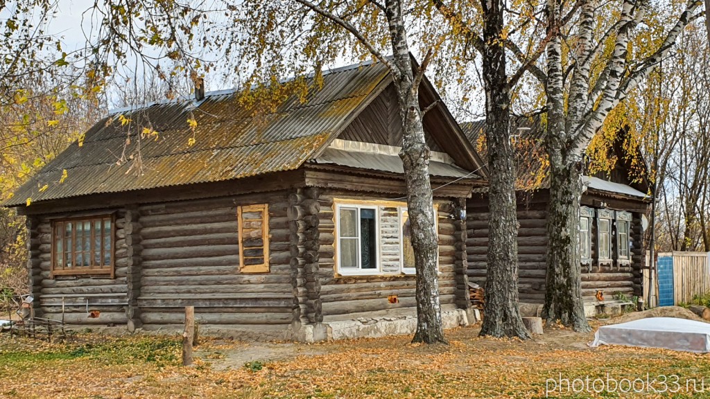 77 Деревянные дома в с. Бутылицы, Меленковский район