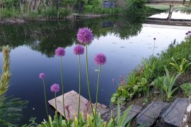 Река Колокша: Зеркало истории Юрьева-Польского